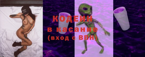 шишки Вязьма